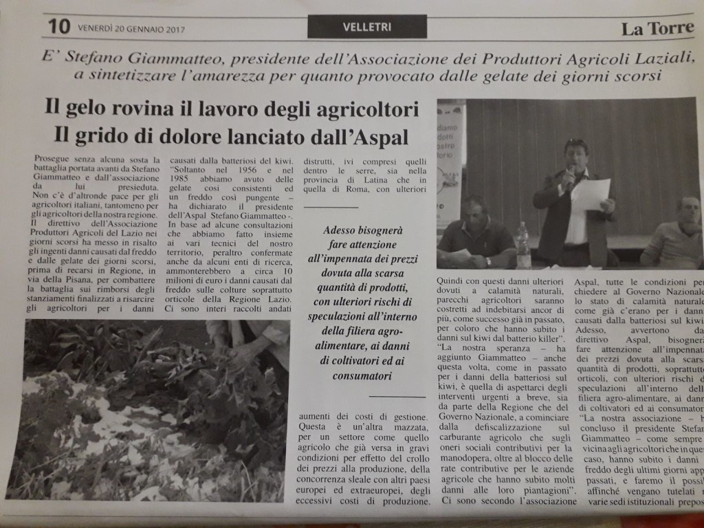 20 Gennaio - Il gelo rovina il lavoro degli agricoltori. Il grido di dolore lanciato dall'Aspal