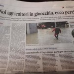 29 novembre - Noi agricoltori in ginocchio, ecco perchè