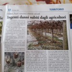 26 Ottobre - Ingenti danni subiti dagli agricoltori