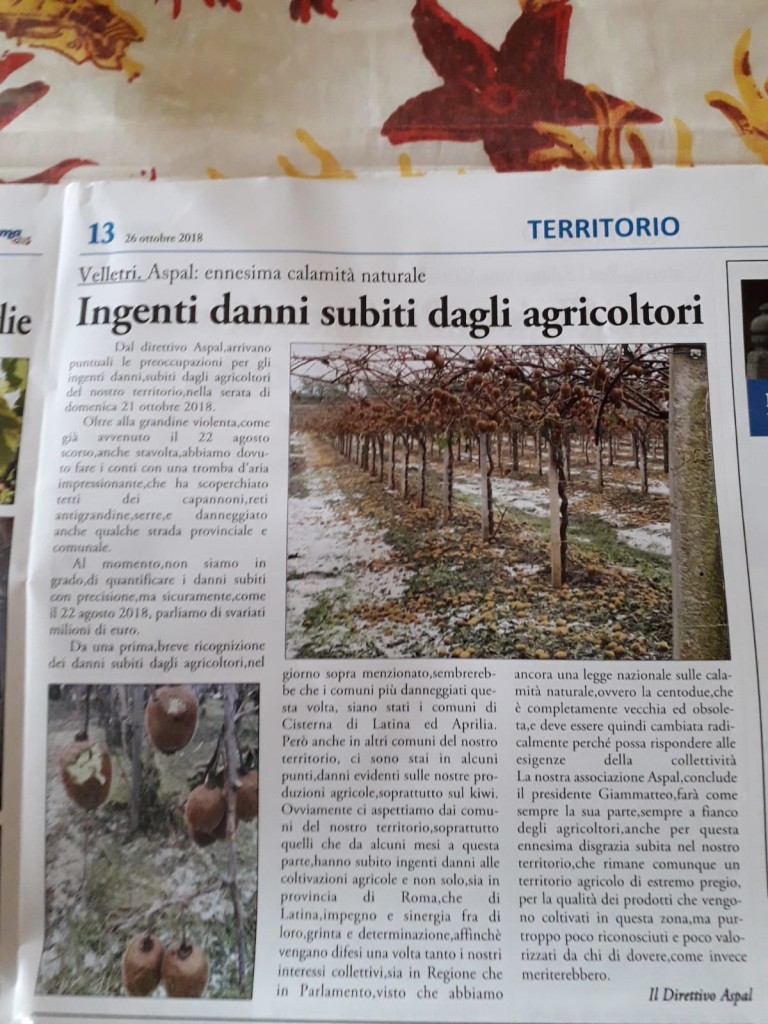 26 Ottobre - Ingenti danni subiti dagli agricoltori