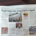 Maggio - Il gelo imprevisto stronca kiwi e vigneti