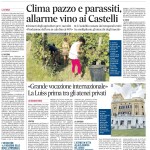 11 luglio 2023 - Clima pazzo e parassiti, allarme vino ai Castelli