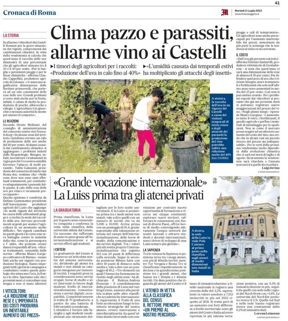 11 luglio 2023 - Clima pazzo e parassiti, allarme vino ai Castelli