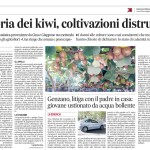 5 novembre - Moria dei kiwi, coltivazioni distrutte