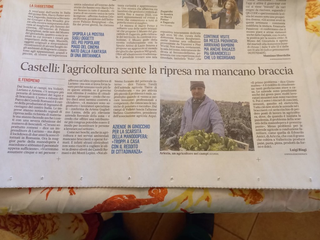 Gennaio - Castelli: l'agricoltura sente la ripresa ma mancano le braccia