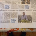 Gennaio - Castelli: l'agricoltura sente la ripresa ma mancano le braccia