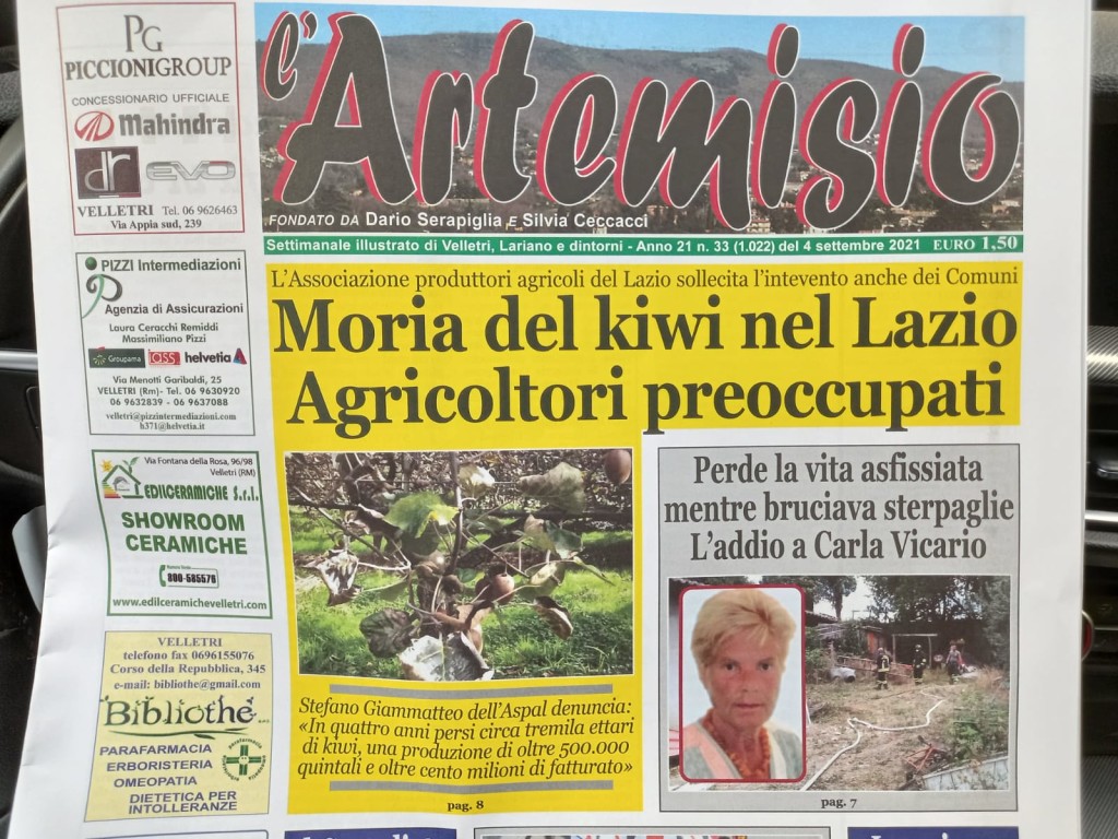 4 settembre - Moria del kiwi nel Lazio, agricoltori preoccupati