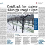13 aprile - Castelli, gelo fuori stagione "Distrugge ortaggi e vigne"