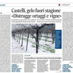 13 aprile - Castelli, gelo fuori stagione "Distrugge ortaggi e vigne"