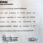 GISAL – PER ACQUISTO FERTILIZZANTI